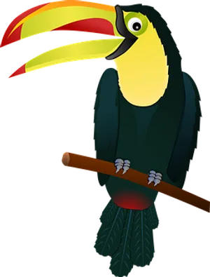 Colorful Toucan Vector Illustration PNG