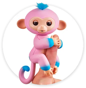 Colorful Toy Monkey Clinging PNG image