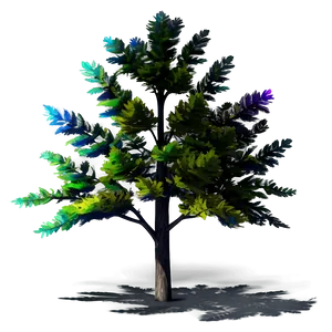 Colorful Tree Shadow PNG 06272024