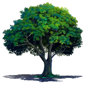 Colorful Tree Shadow PNG Rhl48
