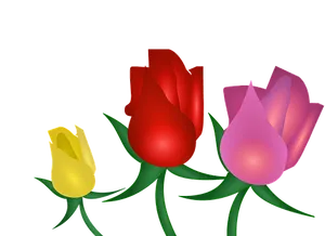 Colorful Trioof Roses Illustration