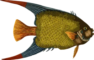 Colorful Tropical Fish Illustration