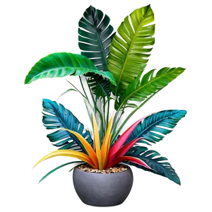 Colorful Tropical Plant Png 36 PNG image