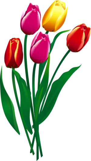 Colorful Tulip Bouquet Illustration PNG image