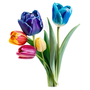Colorful Tulip Bouquet Png 05242024 PNG image