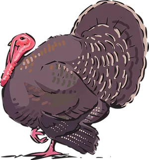 Colorful Turkey Illustration