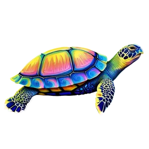 Colorful Turtle Artwork Png 37 PNG image