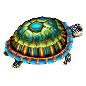 Colorful Turtle Shell Drawing Png 59 PNG image