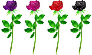 Colorful Vector Roseson Black Background PNG image