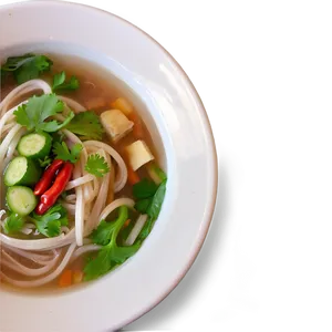 Colorful Vegetable Pho PNG 06202024 PNG