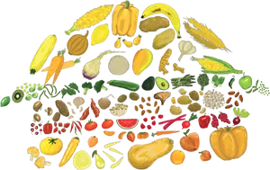 Colorful Vegetablesand Fruits Circle PNG image