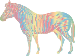 Colorful Zebra Artwork PNG image