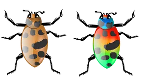 Colorful3 D Beetles Illustration PNG image