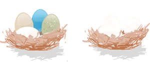 Colorfuland Plain Eggsin Nests