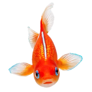 Comet Goldfish PNG 05212024