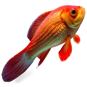 Comet Goldfish PNG Aeo42
