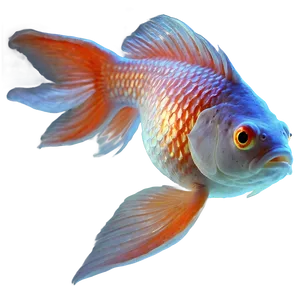 Comet Goldfish PNG Ahs