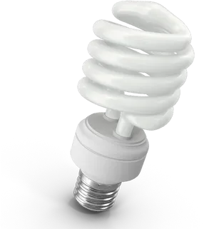Compact Fluorescent Light Bulb