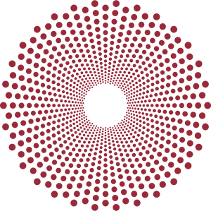 Concentric Circle Dot Pattern PNG image