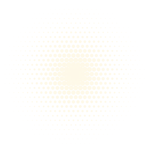 Concentric Circles Optical Illusion PNG