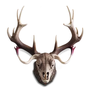 Conceptual Deer Antler Composition PNG Lcy81 PNG