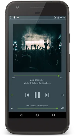 Concert Crowd_ Music Player App_ Screen PNG image