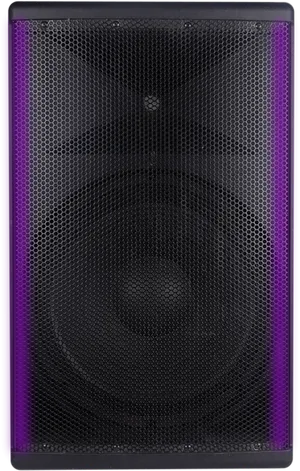 Concert Speaker Closeup.jpg PNG