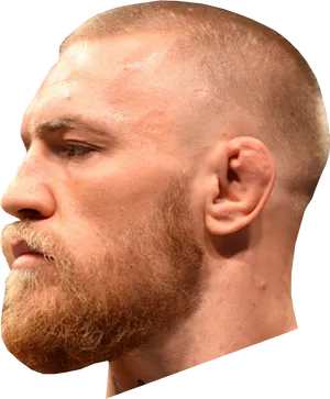 Conor Mc Gregor Profile View PNG image