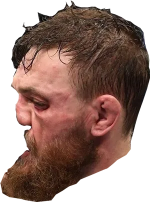 Conor Mc Gregor Profile View PNG image