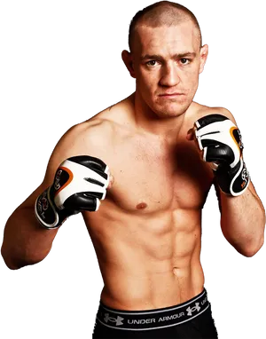 Conor Mc Gregor Readyto Fight Pose PNG image