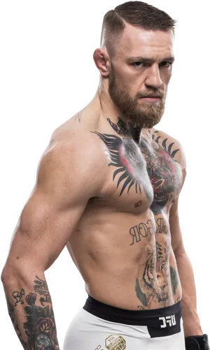 Conor Mc Gregor Tattooed Fighter Pose PNG image