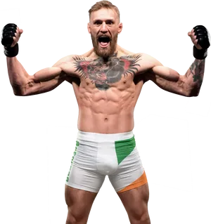 Conor Mc Gregor Victory Pose PNG image