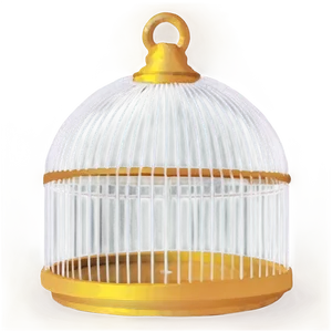 Contemporary Birdcage Png 05252024 PNG image