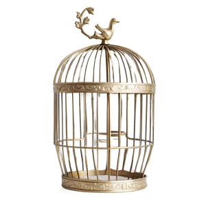 Contemporary Birdcage Png 05252024 PNG image