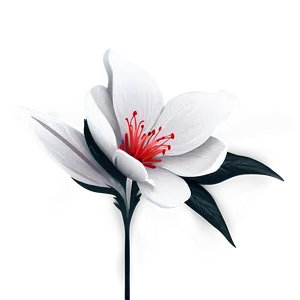 Contemporary Black White Flowers PNG Cfa51 PNG