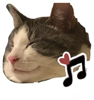 Contented Cat Music Love Sticker.png PNG image