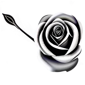 Contoured Rose Black And White PNG 33