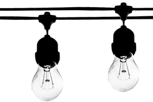 Contrasting Lightbulbs Black Background
