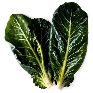 Cooked Collard Greens PNG Llf60 PNG