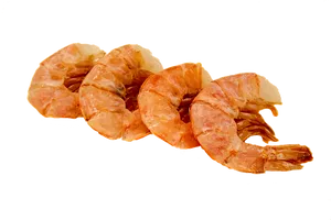 Cooked Shrimp Black Background PNG image