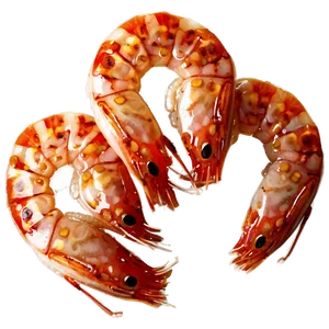 Cooked Shrimp PNG Mer