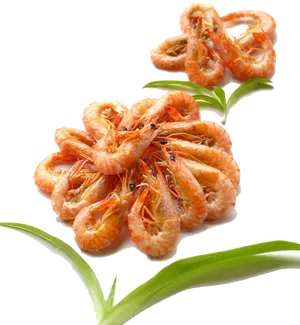 Cooked Shrimp Presentation.png