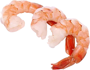 Cooked Shrimp Transparent Background