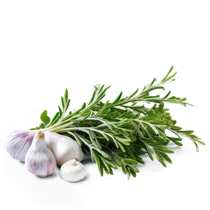 Cooking With Herbs PNG Cwo