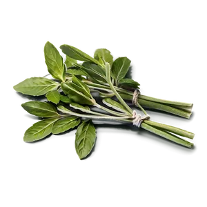 Cooking With Herbs PNG Fmy