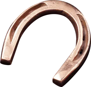 Copper Horseshoe Isolated PNG image