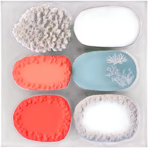 Coral Color Palette Inspiration PNG Kdl97 PNG