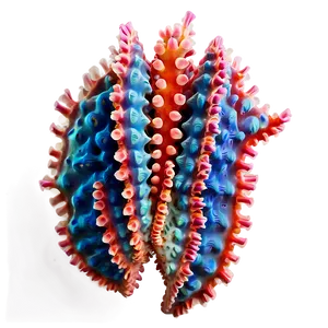 Coral Disease Identification PNG 7 PNG