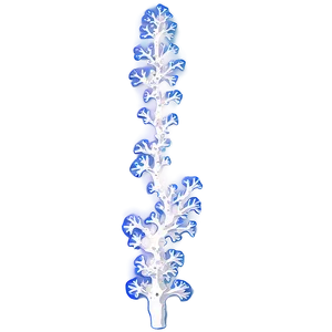 Coral Fragmentation Process PNG 46