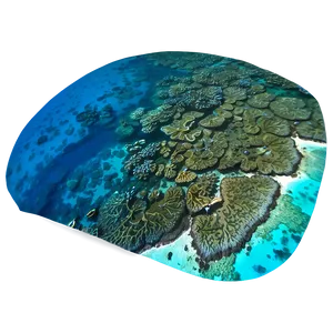 Coral Reef Aerial View PNG Ips4